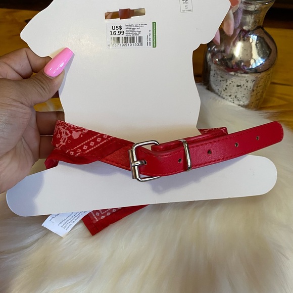 I Am Jewerly Dog Collar Bandana Print - Picture 4 of 5